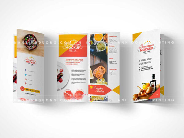 Dịch vụ in Brochure lấy ngay tại In Ấn Bình Dương