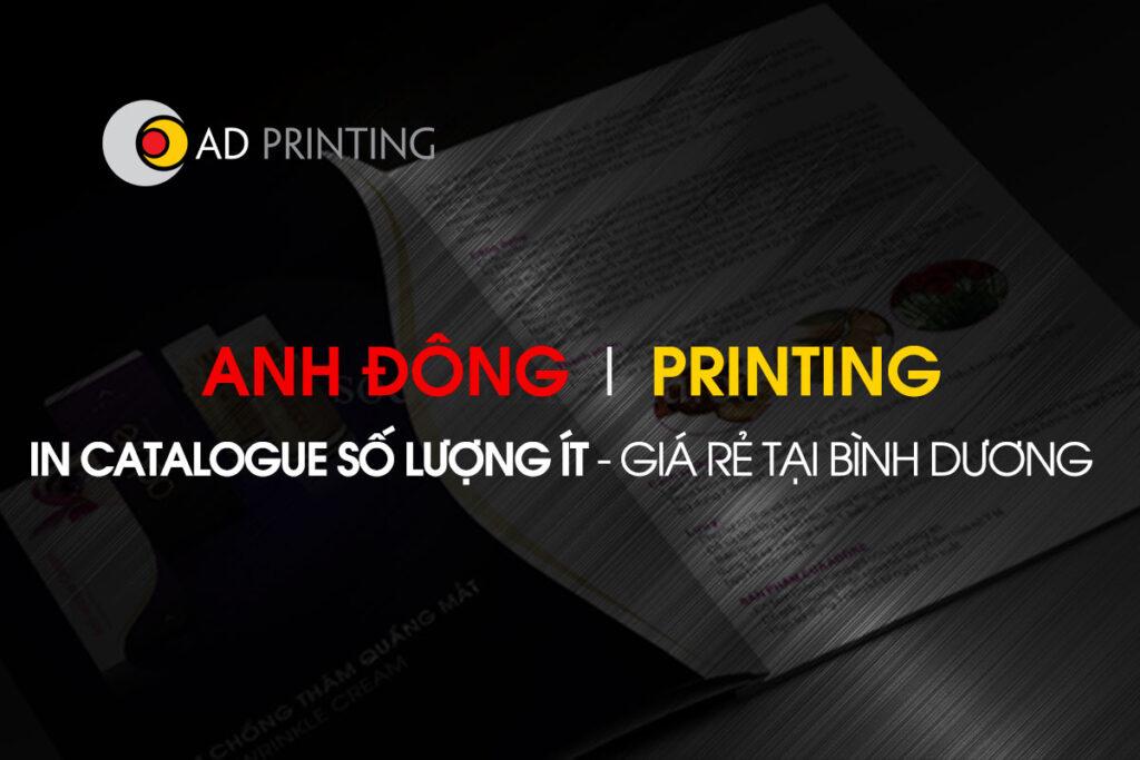 In-Catalogue-số-lượng-ít